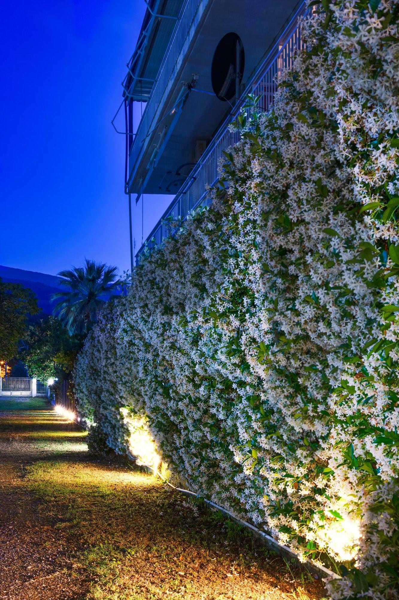 Nikoletakis Apartments Paralia Panteleimonos Exterior photo